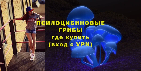 ГАЛЛЮЦИНОГЕННЫЕ ГРИБЫ Горняк